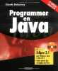 Programmer en Java. Delannoy Claude