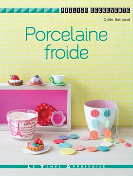 Porcelaine froide. Bailloeul Odile Roy Sonia Besse Fabrice