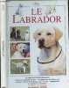 Le Labrador. Rossi Valeria