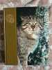 Le royaume des animaux tome 4. 