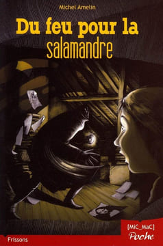 Du feu pour la salamandre. Amelin Michel