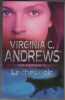Les jumeaux Tome 2 : Le chat noir. Andrews Virginia C