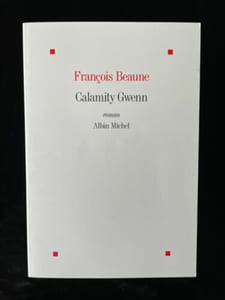 Calamity Gwenn