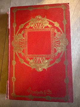 Le trust du soleil. Danielle D'arthez