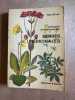 Petit Guide Panoramique des Herbes Medicinales. Hans Fluck