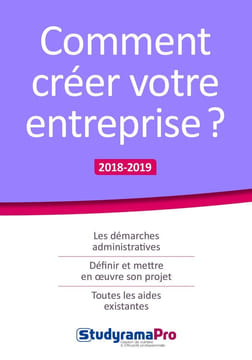 Comment créer votre entreprise. Bienaimé Hélène Capo-Chichi Christelle Helyett Thomas Lartigue Miren