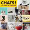 Chats d'Instagram: 100 % miaou. Cats_of_instagram  Favre Audrey