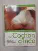 Le cochon d'Inde. 