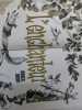 L'enchanteur. Marcel Brion