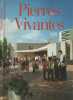 Pierres vivantes. Catechese 80
