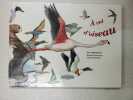 A vol d'oiseau - la migration des oiseaux: Les migrations. Michel Francesconi  Capucine Mazille