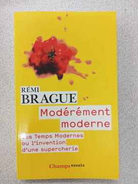 Modérément moderne: Les Temps Modernes ou L'invention d'une supercherie. Brague Rémi
