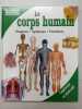 Le Corps Humain : Organes Systèmes Fonctions. 