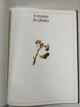 Le mystère des plantes. undefined
