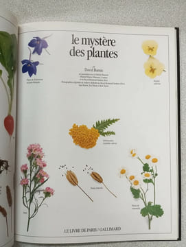 Le mystère des plantes. undefined