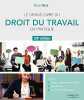 Le grand livre du droit du travail en pratique: A jour : des six ordonnances Macron des décrets de la loi de ratification. Miné Michel