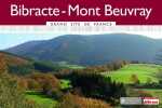 bibracte-mont beuvray 2015. Tabary Delphine