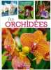 Orchidées. Lecoufle Marcel