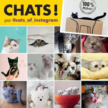 Chats d'Instagram: 100 % miaou. Cats_of_instagram Favre Audrey