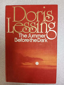 The Summer Before the Dark