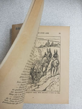 Histoire d'un ane et de deux jeunes filles. P. J. Stahl