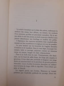 Silène