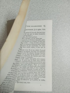 Histoire d'une salamandre. CATHERINE PAYSAN