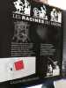 Racines Du Savoir: DES Machines ET DES Robots. Collectif
