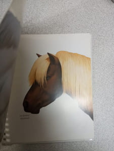 Le cheval