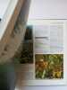 Encyclopedie des fleurs et des plantes de jardin Tome 2. 