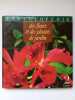 Encyclopedie des fleurs et des plantes de jardin Tome 2. 