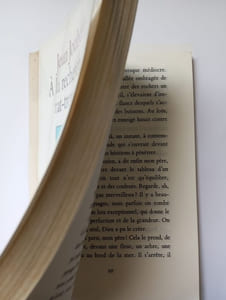A la recherche du rat-trompette