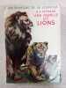Une famillie de lions. 