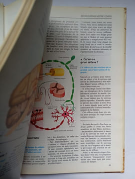 La nouvelle encyclopédie de la jeunesse - Qu'est-ce que c'est. Daniel Alibert Kouraguine s?ur Wendy Beckett
