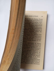 Les guerriers noirs d'yslis (Blade)