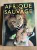 Afrique sauvage. 