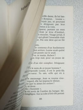 L'Enfant sans étoile. Raphael Delpard