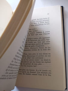 Le Nain jaune