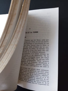Histoire sainte la peuole de la bible. Daniel-rops