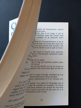 Chroniques de vies ordinaires : Carnets d'une assistante sociale. Valérie Agha