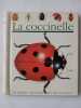 La Coccinelle. Pérols Sylvaine