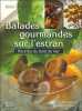 Balades gourmandes sur l'Estran : Cuisiner sa pèche à pied: Recettes du bord de mer. Pellen Henri  Galéron Bernard