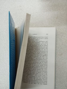 Ciceron de la Divination (La Roue a Livres)