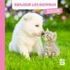 Les animaux domestiques (Bonjour les animaux 1). Ballon