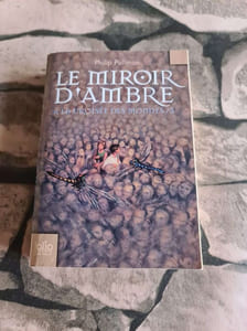Le Miroir D'Ambre: A La Croisee Des Mondes/Iii