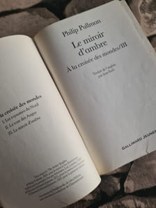 Le Miroir D'Ambre: A La Croisee Des Mondes/Iii