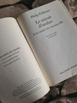Le Miroir D'Ambre: A La Croisee Des Mondes/Iii. Pullman Philip