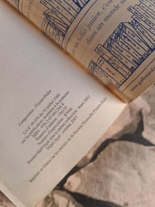 Le Miroir D'Ambre: A La Croisee Des Mondes/Iii