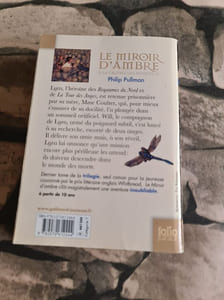 Le Miroir D'Ambre: A La Croisee Des Mondes/Iii