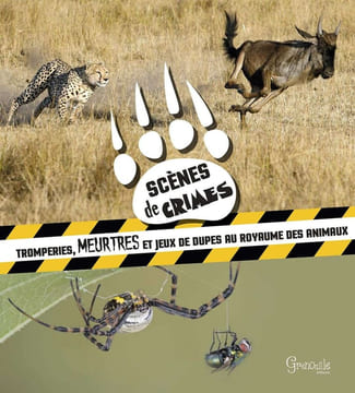 Scènes de crimes: Tromperies meurtres et jeux de dupes au royaume des animaux. Oftring Bärbel Bergmann Roberta Wiatrowski Tonia Bollinger Corinne